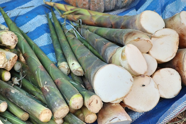 Bambusowy strzelać przy ulicznym jedzeniem