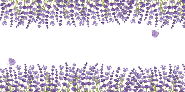 Zdjęcie baner bukiet kwiatów lawendy akwarela ilustracja na białym tle