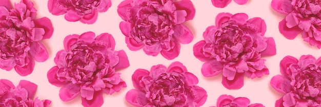 Baner z wzorem wykonanym z głów kwiatów piwonii na różowym pastelowym tle Koncepcja kreatywna