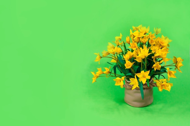 Baner Żółte tulipany leśne w ceramicznym brązowym wazonie na zielonym tle Podstawa do pocztówki Dzień Matki 8 marca