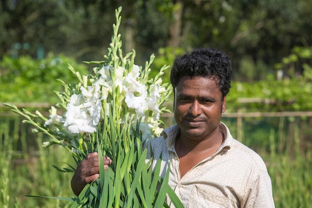 Bangladesz 07 grudnia 2017 Rolnik zbiera i wystawia na sprzedaż białe kwiaty mieczyków w ogrodzie kwiatowym mieczyk w savar Dhaka