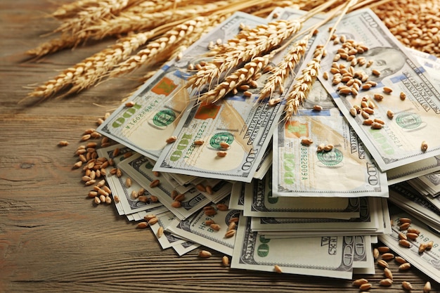 Banknoty dolarowe i ziarna pszenicy na drewnianym tle Pojęcie dochodu rolniczego