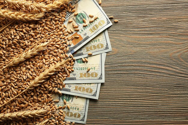 Banknoty dolarowe i ziarna pszenicy na drewnianym tle Pojęcie dochodu rolniczego