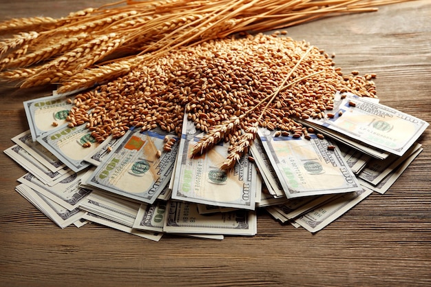Banknoty dolarowe i ziarna pszenicy na drewnianym tle Pojęcie dochodu rolniczego