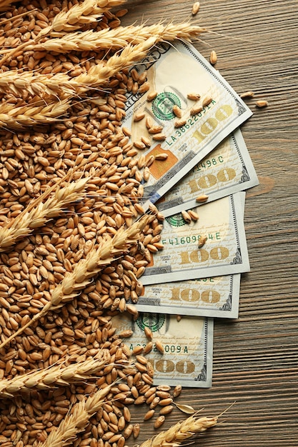 Banknoty dolarowe i ziarna pszenicy na drewnianym tle Pojęcie dochodu rolniczego