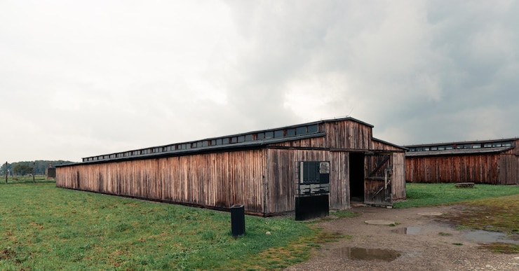 Zdjęcie baraki obozowe, w których przetrzymywano więźniów obozu zagłady auschwitz-birkenau w kwarantannie