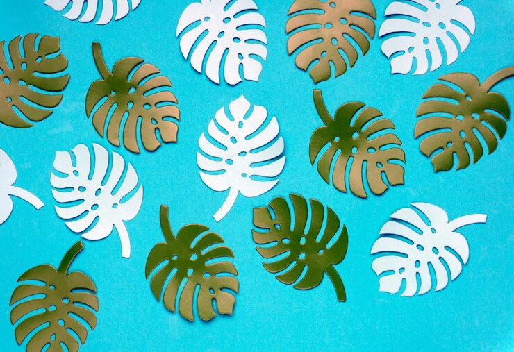 Zdjęcie barwiony monstera rośliny tło. monstera pozostawia na turkusowym tle.