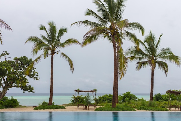 Basen w kurorcie na wybrzeżu Tropikalny kurort turystyczny na wybrzeżu Oceanu Indyjskiego z palmami