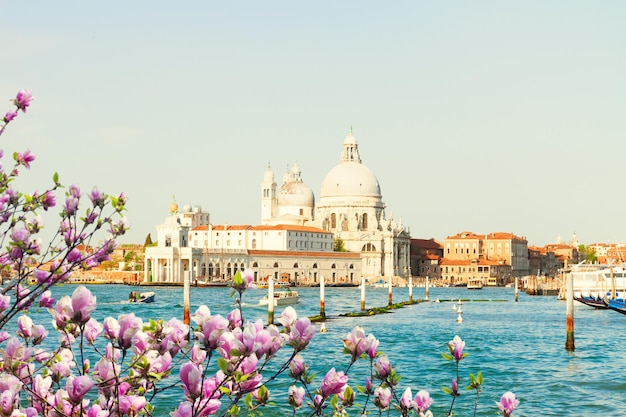 Bazylika Santa Maria Della Salute I Woda Canal Grande W Dzień Wiosny, Wenecja, Włochy