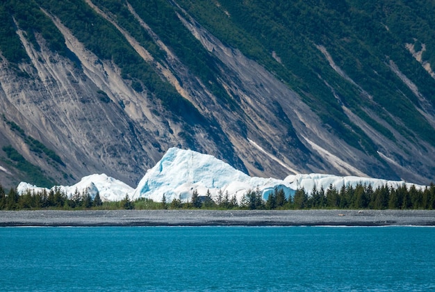 Bear Glacier wchodzący do zatoki w pobliżu Seward na Alasce