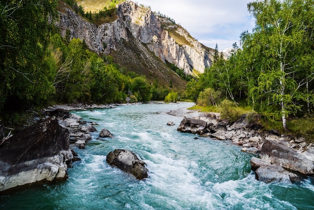 Behemoth River Rapid na rzece Chuya, górski Ałtaj, Rosja