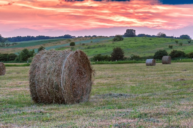 Bele siana na piękny zachód słońca