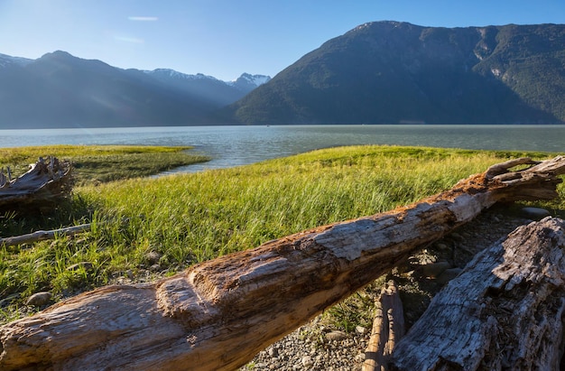 Bella Coola