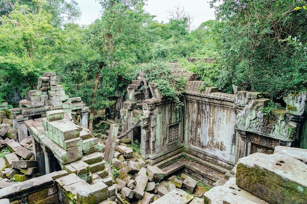 Beng Mealea świątynia, antyczne świątynne ruiny po środku dżungla lasu, Siem Przeprowadzają żniwa