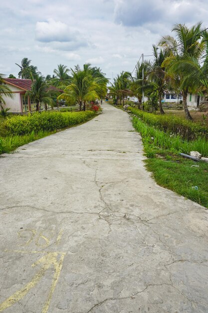 Benjina City Central Aru Regency Maluku Indonezja