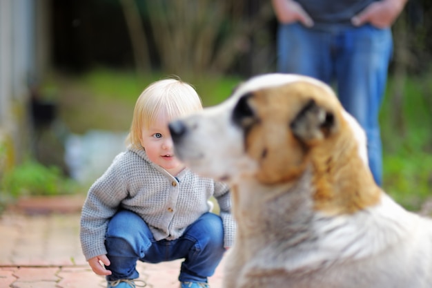 Zdjęcie berbeć chłopiec bawić się z dużym psem outdoors