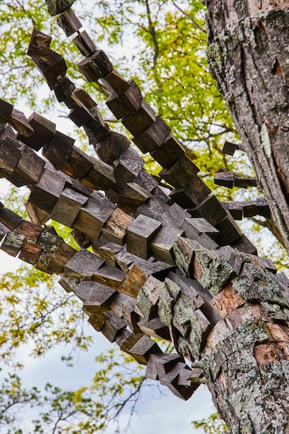 Bernheim Forest overhead abstrakcyjne dzieło sztuki Engotterung rzeźba Anthony Heinz May