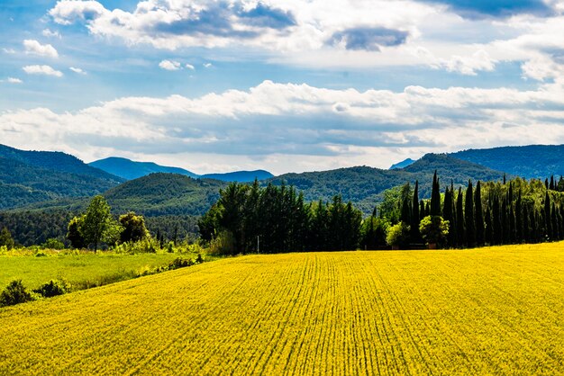 Zdjęcie besalu to miasto w regionie garrotxa w gironie w katalonii w hiszpanii.