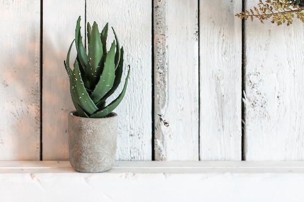 Betonowy cylindryczny wazon z rośliną aloesu. Ściany pokryte są pomalowanymi na biało deskami drewnianymi w stylu rustykalnym.