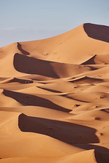 Bezkresne Piaski Sahary. Piękny zachód słońca nad wydmami pustyni Sahara, Maroko, Afryka