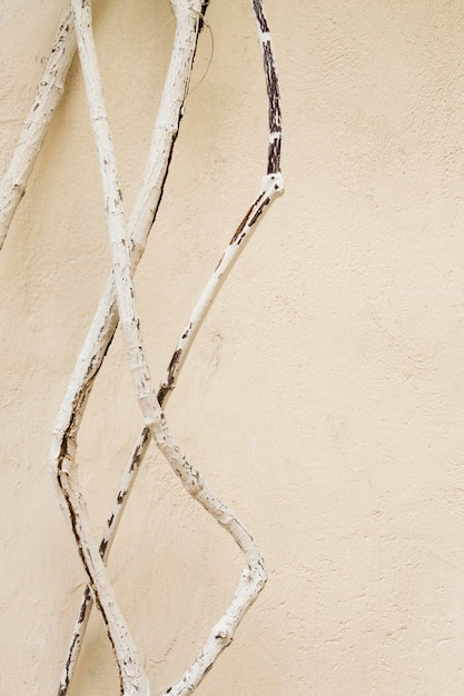 Beżowe tło tekstury ściany z gałęziami drzew Minimalistyczna i naturalna koncepcja