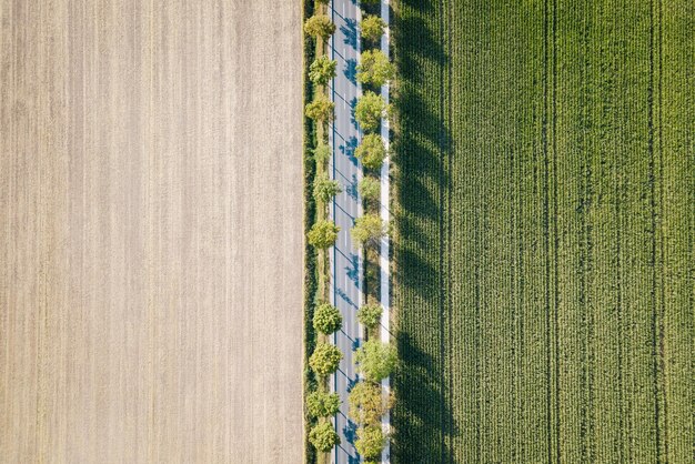 Bezpośrednio nad zdjęciem gospodarstw rolnych