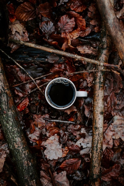 Zdjęcie bezpośrednio powyżej strzału kawy w filiżance nad suchymi liśćmi