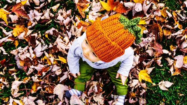 Zdjęcie bezpośrednio powyżej zdjęcie chłopca siedzącego na liściach jesienią