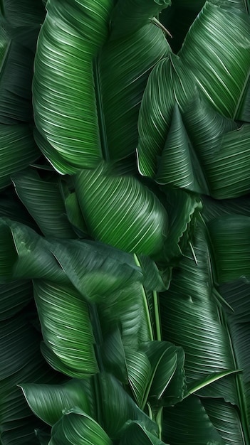 Bezszwodowa abstrakcyjna tekstura liści tropikalnych
