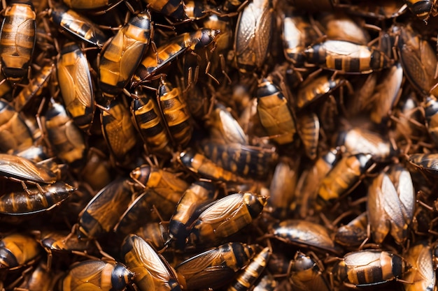 Bezszwonowa tekstura i tło kupy karaluchów Sieć neuronowa wygenerowana w maju 2023 roku