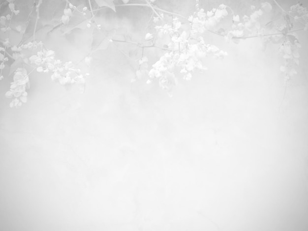 Zdjęcie bezszwowa tekstura białej ściany cementowej szorstkiej powierzchni i gradientu cienia kwiatu liści z miejscem na tekst na backgroundx9