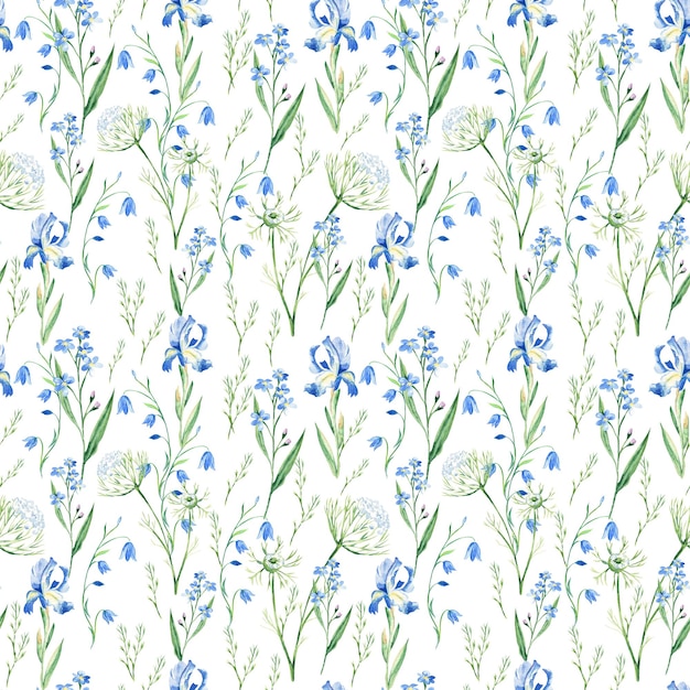 Bezszwowe akwarela wzór z polnych kwiatów bluebell niezapominajka tęczówki królowej Anny koronki na białym tle
