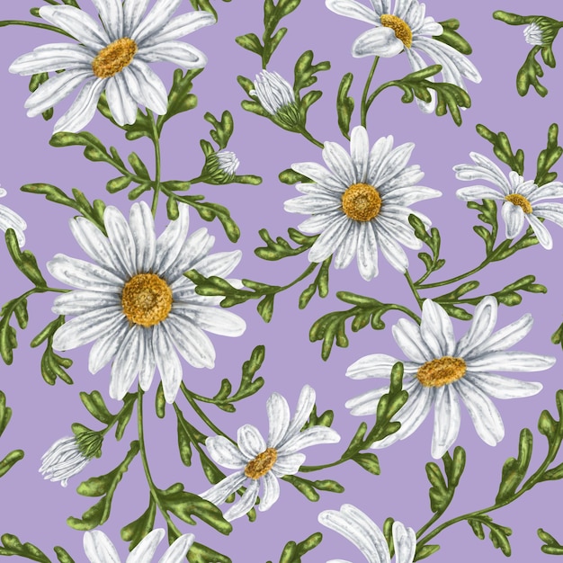 Bezszwowe ręcznie rysowane wzór z białymi rumiankami Tło kwiatowe dla tekstyliów tkaniny transparent papier pakowy i inne projekty Cyfrowa ilustracja na liliowym tle