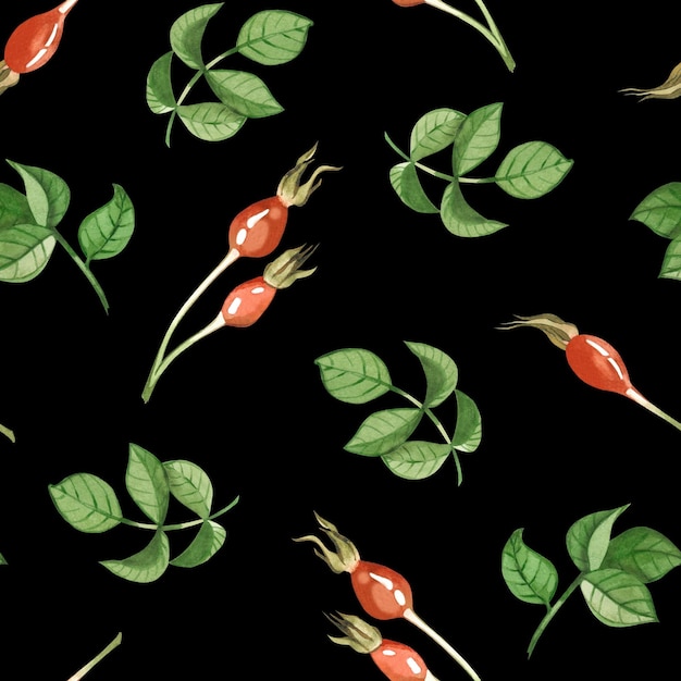 Zdjęcie bezszwowy wzór akwarelowy rosehip zielone liście rosehip czerwone jagody rosehip narysowane w akwareli na czarnym tle odpowiednie do drukowania na papierze tekstylia scrapbooking pocztówki