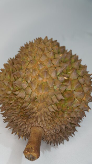 Bhineka Bawor to odmiana durianów pochodząca z Banyumas w środkowej Jawie, znana ze swojego bardzo słodkiego smaku.