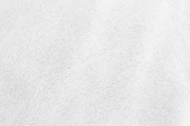 Biała czysta wełna tekstura tło lekka naturalna owcza wełna biała bezszwowa bawełniana tekstura puszystego futra dla projektantów zbliżenie fragment białego wełny dywan