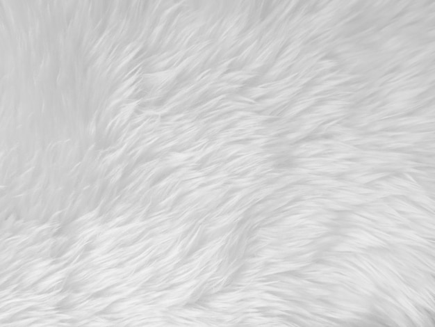 Zdjęcie biała czysta wełna tekstura tło lekka naturalna owcza wełna biała bezszwowa bawełniana tekstura puszystego futra dla projektantów zbliżenie fragment białego wełny dywan