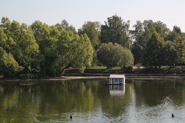 Biała drewniana pływająca kaczka w centrum stawu w parku publicznym. Rezerwat ptaków w artific