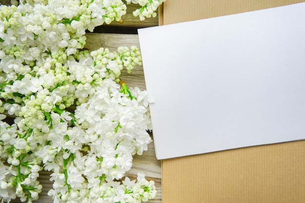 Biała karta papierowa z białymi kwiatami bzu