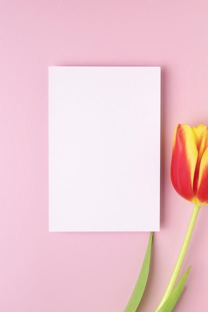 Biała księga pusty pusty tulipan kwiat na różowym tle Makieta karty z zaproszeniem na beżowym stole Makieta płaski widok z góry kopii przestrzeni