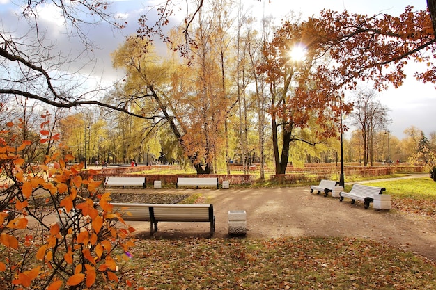 Biała ławka słoneczny dzień jesienią City Park