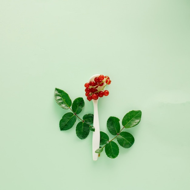 Biała łyżka jak gałąź z zielonymi liśćmi czerwonej porzeczki na pastelowym zielonym tleflat lay