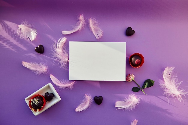 Biała makieta na fioletowym tle z czekoladowymi słodyczami i różowymi piórami Modne cienie Koncepcja prezentu wakacyjnego Fioletowy wzór miejsca kopiowania