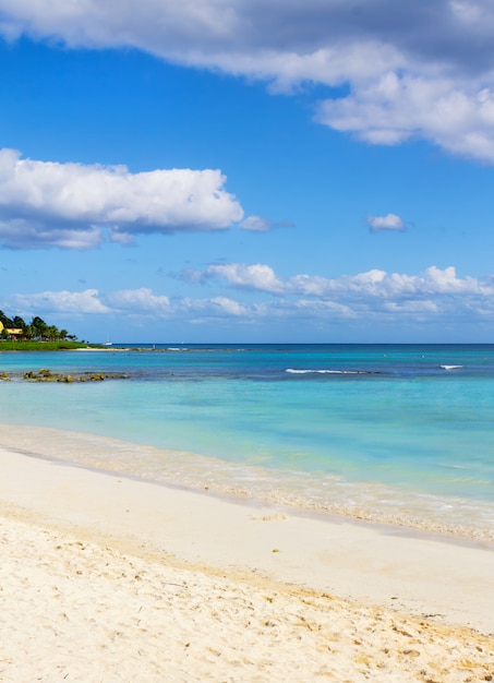 Biała Piasek Plaża I Fale Na Wybrzeżu