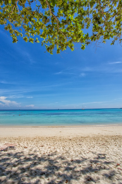 Biała piasek plaża koh roku wyspa