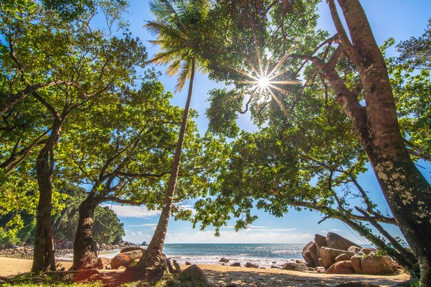 Biała piasek plaża przy khaolak, Phuket, Tajlandia