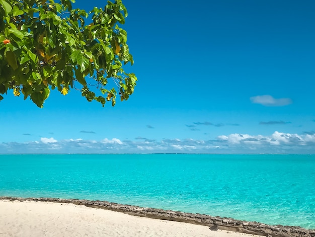 Zdjęcie biała piaszczysta plaża tropikalna wyspa turkusowa woda