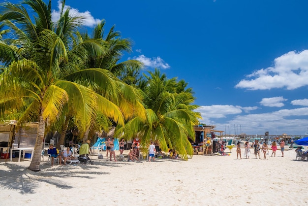 Biała piaszczysta plaża z palmami kokosowymi Wyspa Isla Mujeres Morze Karaibskie Cancun Jukatan Meksyk