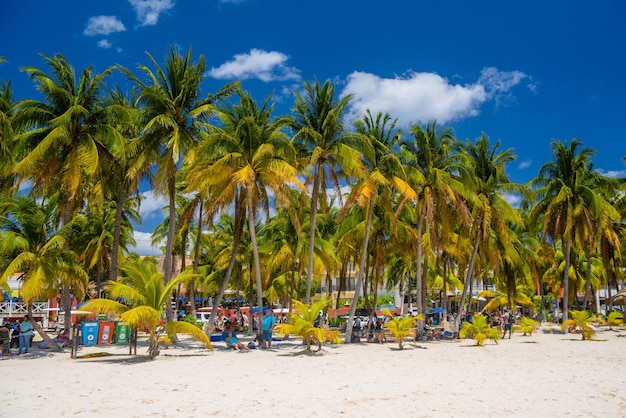 Biała piaszczysta plaża z palmami kokosowymi Wyspa Isla Mujeres Morze Karaibskie Cancun Jukatan Meksyk