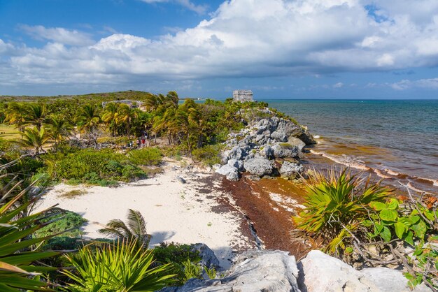 Biała piaszczysta plaża ze skałami i wodorostami Ruiny Majów w Tulum Riviera Maya Jukatan Morze Karaibskie Meksyk
